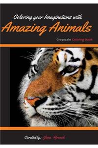 Coloring your Imaginations with Amazing Animals