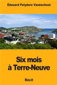 Six mois à Terre-Neuve