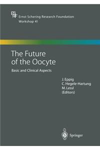 Future of the Oocyte