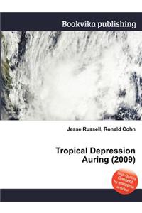 Tropical Depression Auring (2009)
