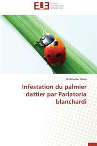 Infestation du palmier dattier par parlatoria blanchardi