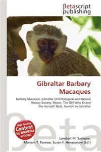 Gibraltar Barbary Macaques