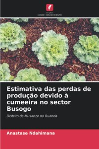 Estimativa das perdas de produção devido à cumeeira no sector Busogo