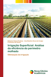 Irrigação Superficial