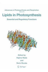 Lipids in Photosynthesis