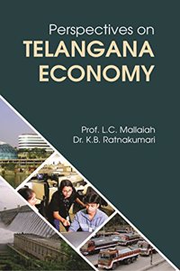 Perspectives on Telangana Economy