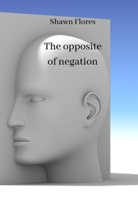 opposite of negation