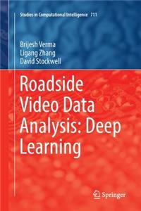 Roadside Video Data Analysis