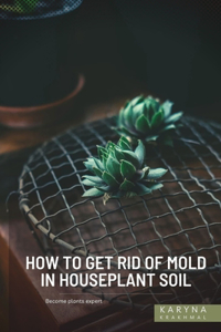 How to Get Rid of Mold in Houseplant Soil