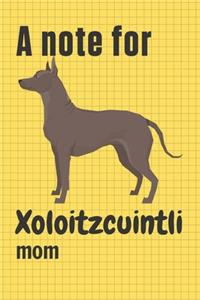 A note for Xoloitzcuintli mom