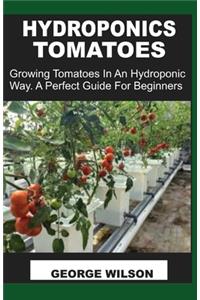 Hydroponics Tomatoes