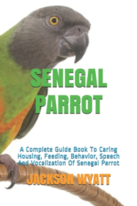 Senegal Parrot