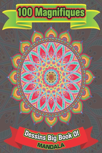 100 Magnifiques Dessins Big Book Of mandala