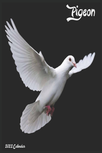 Pigeon 2022 Calendar