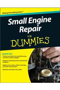 Small Engine Repair For Dummies