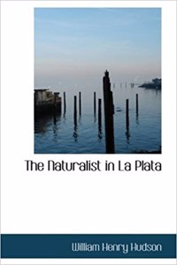 Naturalist in La Plata