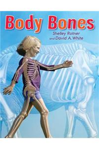 Body Bones