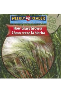 How Grass Grows / Cómo Crece La Hierba