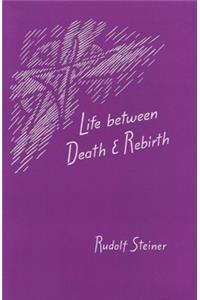 Life Between Death and Rebirth
