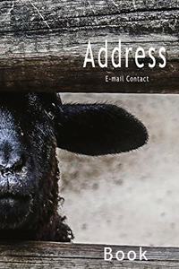 Address Book