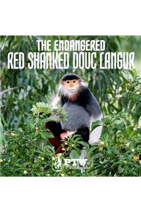 Endangered Red Shanked Douc Langur