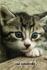 Cat Notebooks