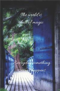 The world is full of magic
