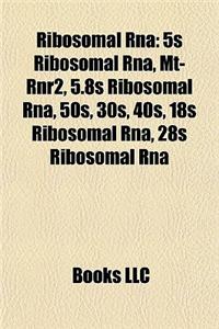 Ribosomal RNA Ribosomal RNA