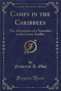 Camps in the Caribbees