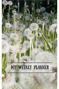 My Weekly Planner