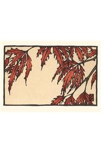 Japanese Maple