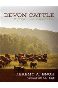 Devon Cattle