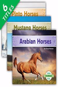 Horses Set 2 (Set)