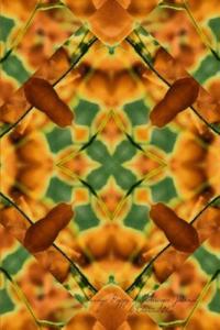 Orange Poppy Kaleidoscope Journal
