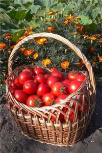 Basket of Red Tomatoes Food Journal