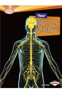 Your Nervous System