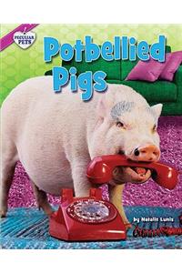 Potbellied Pigs