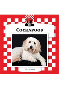 Cockapoos