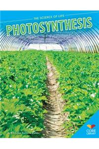 Photosynthesis