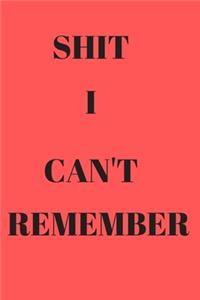 Shit I Can't Remember
