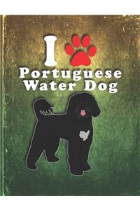 Portuguese Water Dog