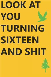 Look at You Turning Sixteen and Shit Notebook Birthday Gift