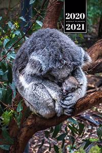 Koala Bear Rainforest Week Planner Weekly Organizer Calendar 2020 / 2021 - Protect Baby