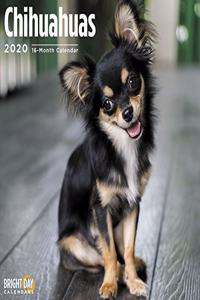 CHIHUAHUAS WALL CALENDAR 2020
