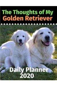 The Thoughts of My Golden Retriever