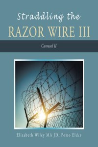 Straddling the Razor Wire Iii