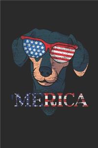 Merica Dachshund
