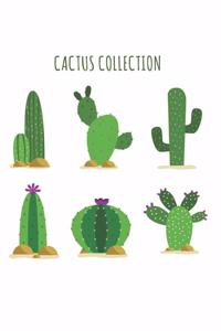 Cactus Collection