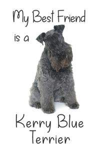 My best Friend is a Kerry Blue Terrier