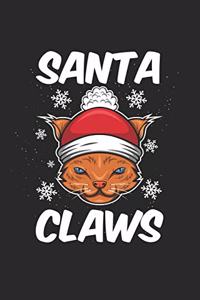 Christmas cat Christmas claws claws